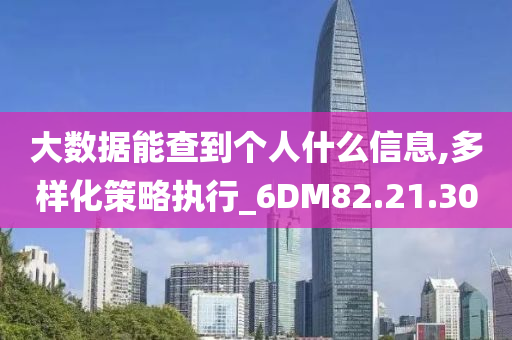 大数据能查到个人什么信息,多样化策略执行_6DM82.21.30