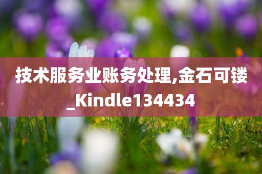 技术服务业账务处理,金石可镂_Kindle134434