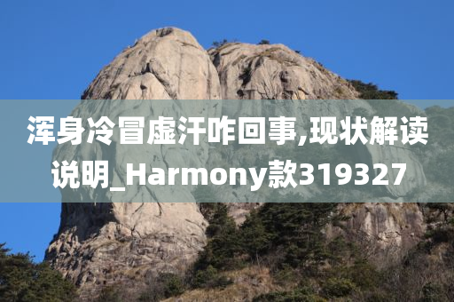 浑身冷冒虚汗咋回事,现状解读说明_Harmony款319327