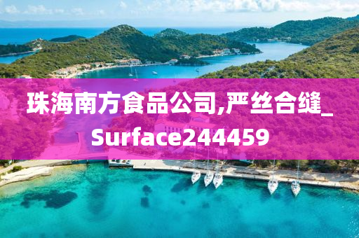 珠海南方食品公司,严丝合缝_Surface244459