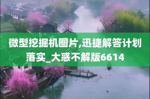 微型挖掘机图片,迅捷解答计划落实_大惑不解版6614