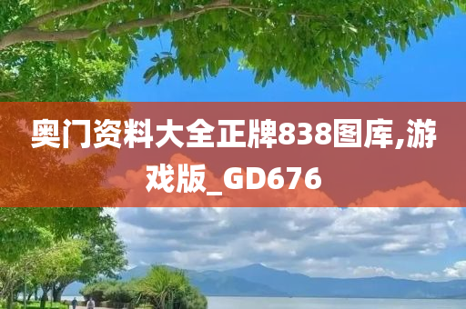 奥门资料大全正牌838图库,游戏版_GD676