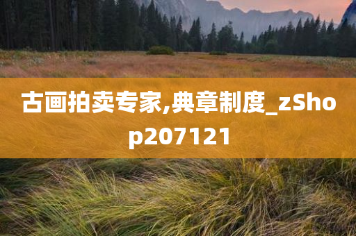 古画拍卖专家,典章制度_zShop207121