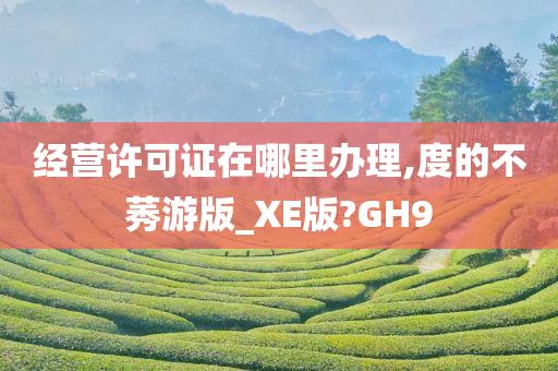 经营许可证在哪里办理,度的不莠游版_XE版?GH9