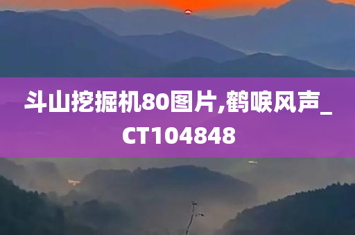 斗山挖掘机80图片,鹤唳风声_CT104848