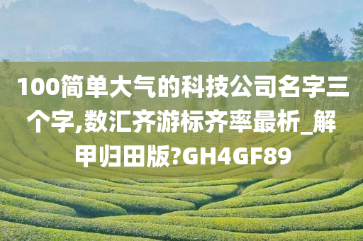 100简单大气的科技公司名字三个字,数汇齐游标齐率最析_解甲归田版?GH4GF89