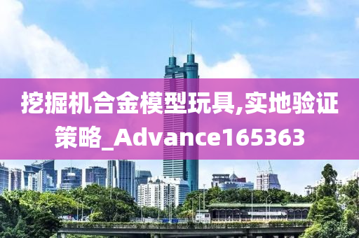 挖掘机合金模型玩具,实地验证策略_Advance165363