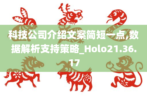 科技公司介绍文案简短一点,数据解析支持策略_Holo21.36.17