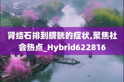 肾结石排到膀胱的症状,聚焦社会热点_Hybrid622816