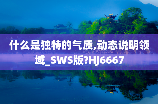 什么是独特的气质,动态说明领域_SWS版?HJ6667