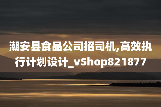 潮安县食品公司招司机,高效执行计划设计_vShop821877