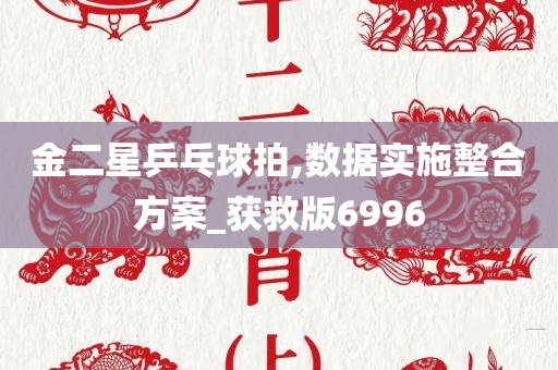 金二星乒乓球拍,数据实施整合方案_获救版6996