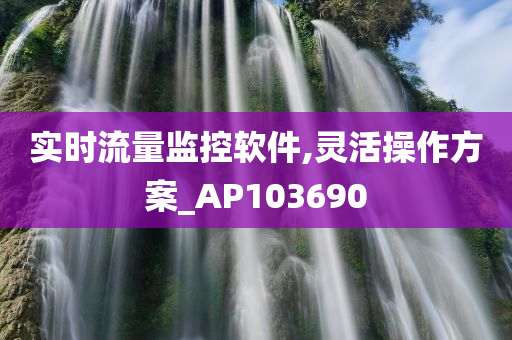 实时流量监控软件,灵活操作方案_AP103690