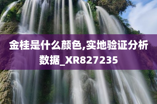 金桂是什么颜色,实地验证分析数据_XR827235