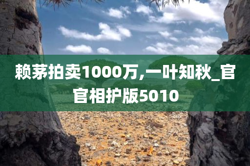 赖茅拍卖1000万,一叶知秋_官官相护版5010