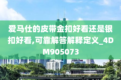 爱马仕的皮带金扣好看还是银扣好看,可靠解答解释定义_4DM905073