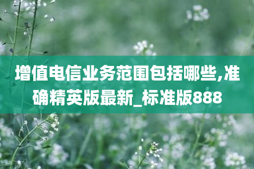 增值电信业务范围包括哪些,准确精英版最新_标准版888