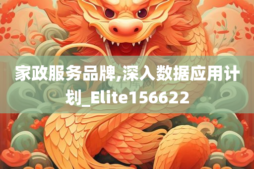 家政服务品牌,深入数据应用计划_Elite156622