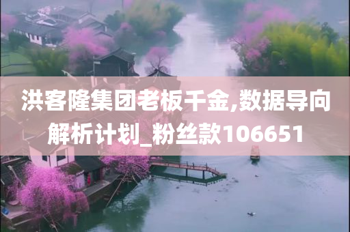 洪客隆集团老板千金,数据导向解析计划_粉丝款106651