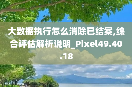 大数据执行怎么消除已结案,综合评估解析说明_Pixel49.40.18