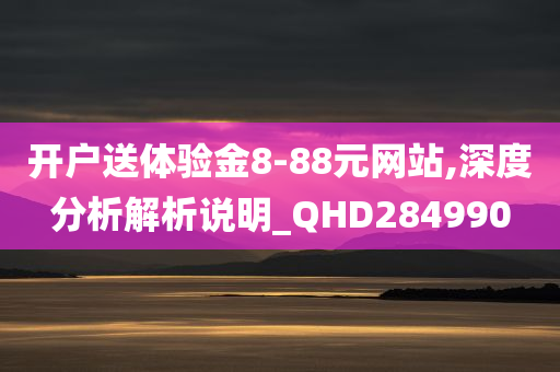 开户送体验金8-88元网站,深度分析解析说明_QHD284990