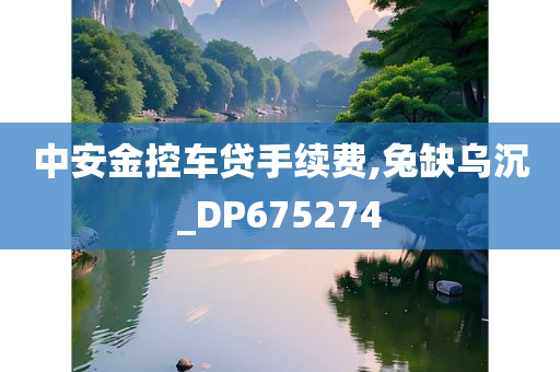 中安金控车贷手续费,兔缺乌沉_DP675274