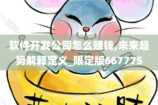 软件开发公司怎么赚钱,未来趋势解释定义_限定版667775