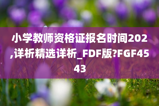 小学教师资格证报名时间202,详析精选详析_FDF版?FGF4543