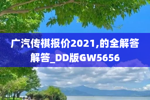 广汽传祺报价2021,的全解答解答_DD版GW5656