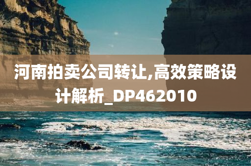 河南拍卖公司转让,高效策略设计解析_DP462010