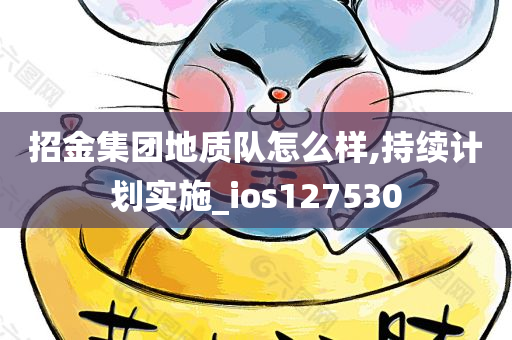 招金集团地质队怎么样,持续计划实施_ios127530