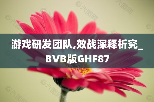 游戏研发团队,效战深释析究_BVB版GHF87