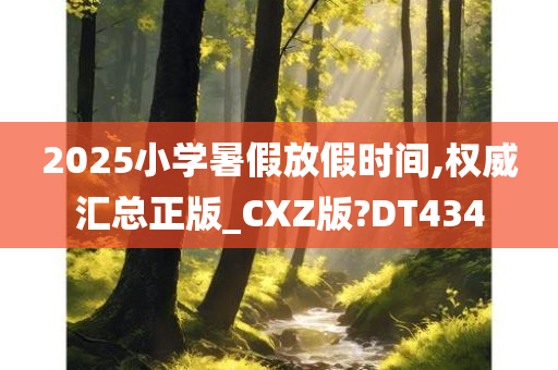 2025小学暑假放假时间,权威汇总正版_CXZ版?DT434