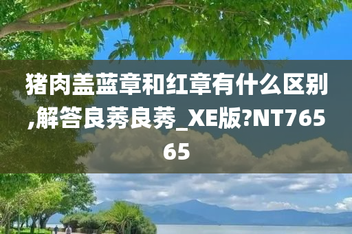 猪肉盖蓝章和红章有什么区别,解答良莠良莠_XE版?NT76565