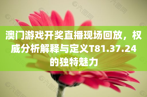 澳门游戏开奖直播现场回放，权威分析解释与定义T81.37.24的独特魅力