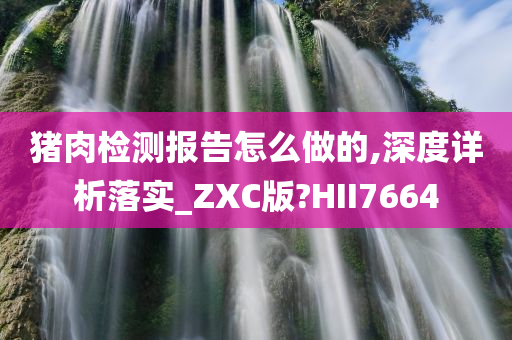 猪肉检测报告怎么做的,深度详析落实_ZXC版?HII7664