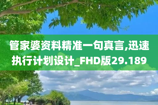 管家婆资料精准一句真言,迅速执行计划设计_FHD版29.189