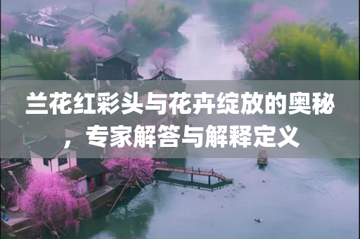 兰花红彩头与花卉绽放的奥秘，专家解答与解释定义