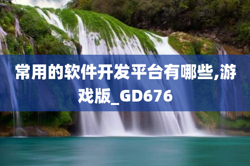 常用的软件开发平台有哪些,游戏版_GD676