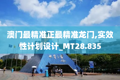 澳门最精准正最精准龙门,实效性计划设计_MT28.835