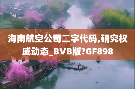 海南航空公司二字代码,研究权威动态_BVB版?GF898