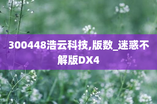 300448浩云科技,版数_迷惑不解版DX4