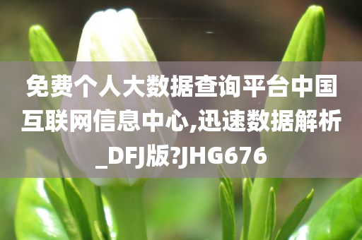 免费个人大数据查询平台中国互联网信息中心,迅速数据解析_DFJ版?JHG676