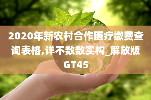 2020年新农村合作医疗缴费查询表格,详不数数实构_解放版GT45