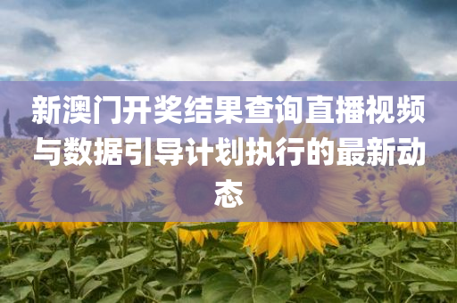 新澳门开奖结果查询直播视频与数据引导计划执行的最新动态