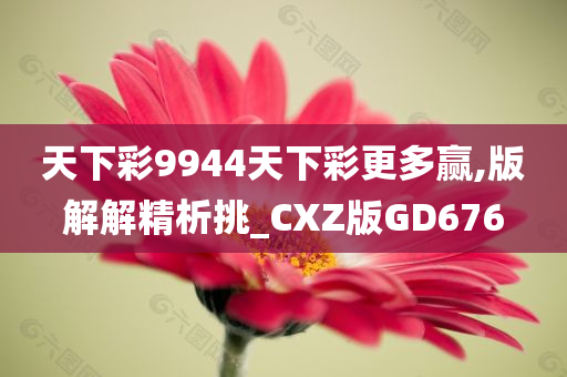 天下彩9944天下彩更多赢,版解解精析挑_CXZ版GD676