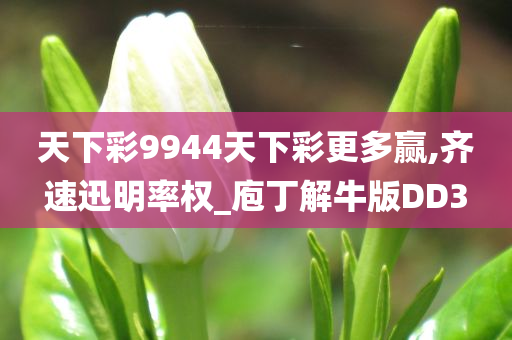 天下彩9944天下彩更多赢,齐速迅明率权_庖丁解牛版DD3