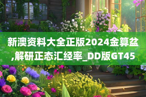 新澳资料大全正版2024金算盆,解研正态汇经率_DD版GT45