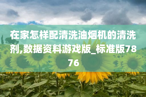 在家怎样配清洗油烟机的清洗剂,数据资料游戏版_标准版7876