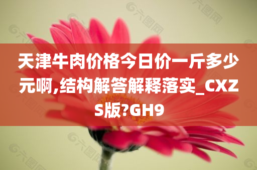 天津牛肉价格今日价一斤多少元啊,结构解答解释落实_CXZS版?GH9